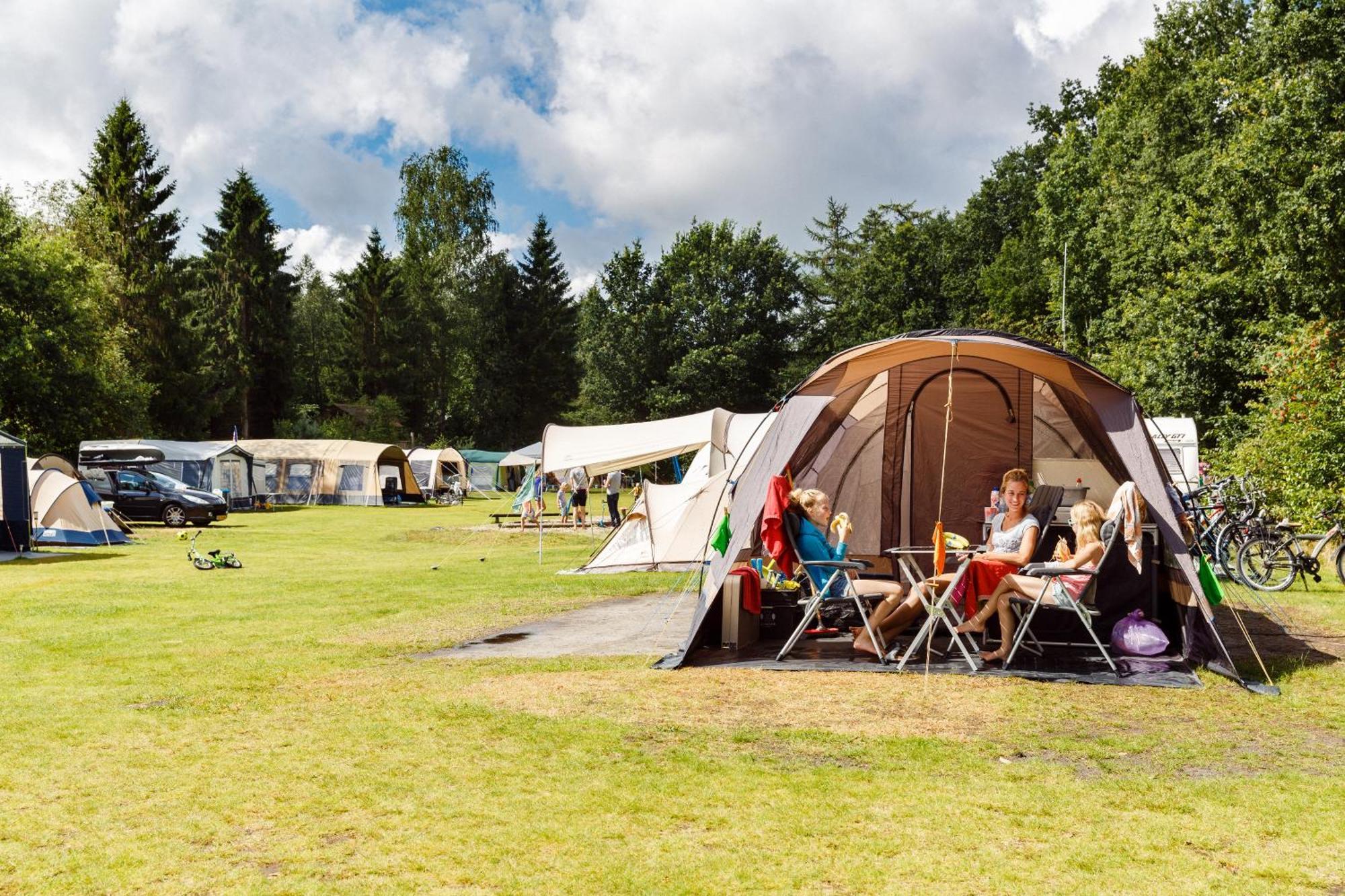 Rcn Vakantiepark De Roggeberg Appelscha Eksteriør billede