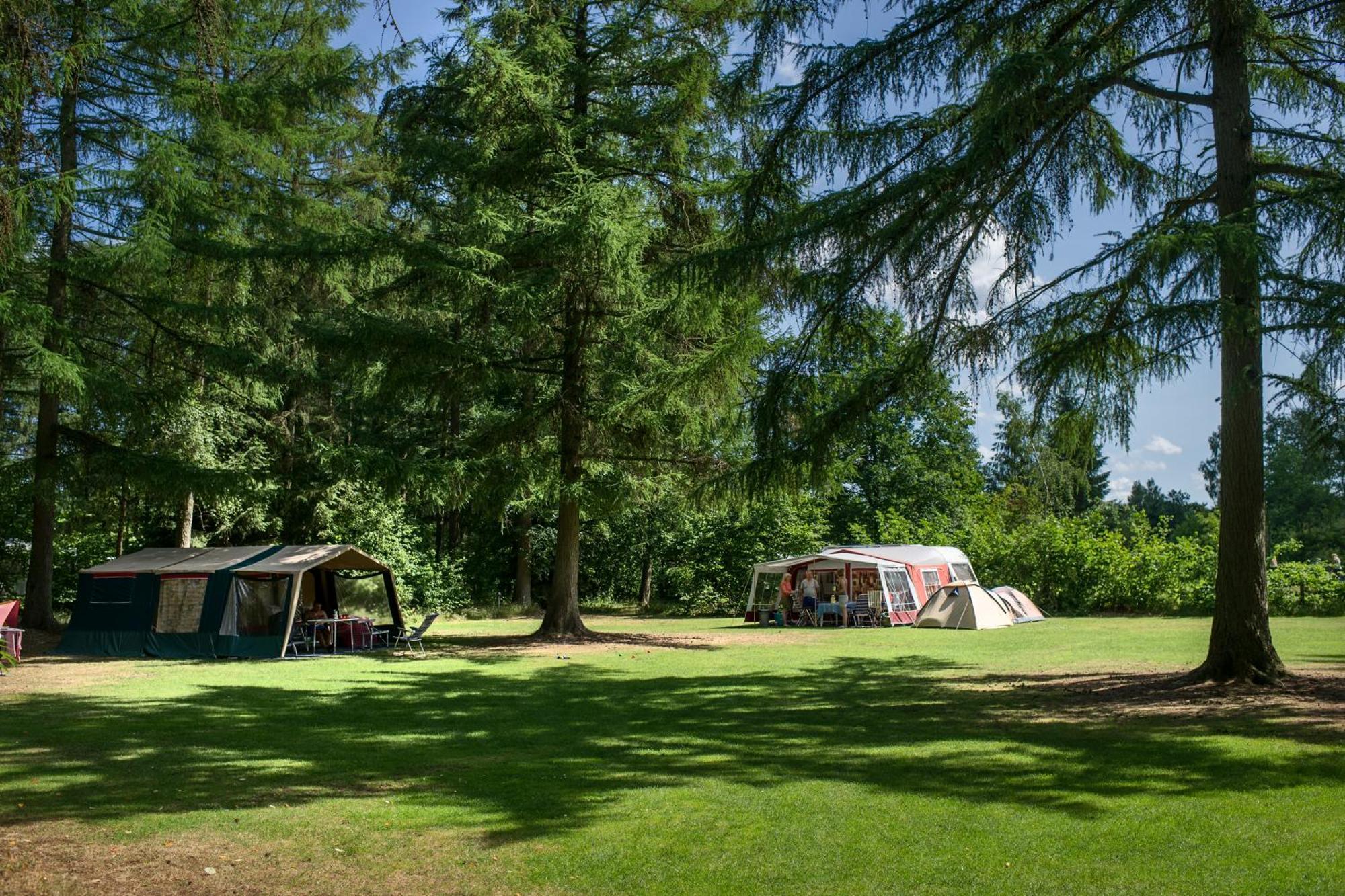 Rcn Vakantiepark De Roggeberg Appelscha Eksteriør billede