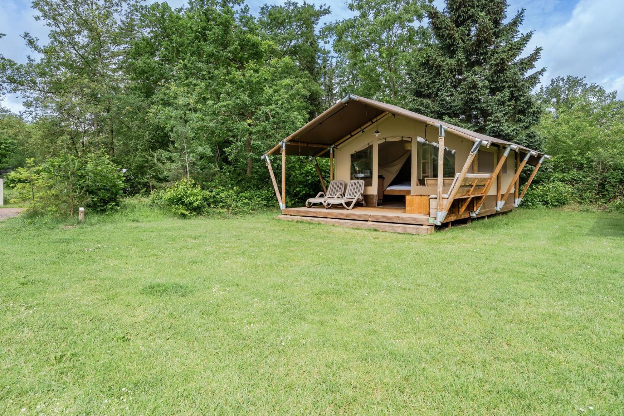 Rcn Vakantiepark De Roggeberg Appelscha Værelse billede