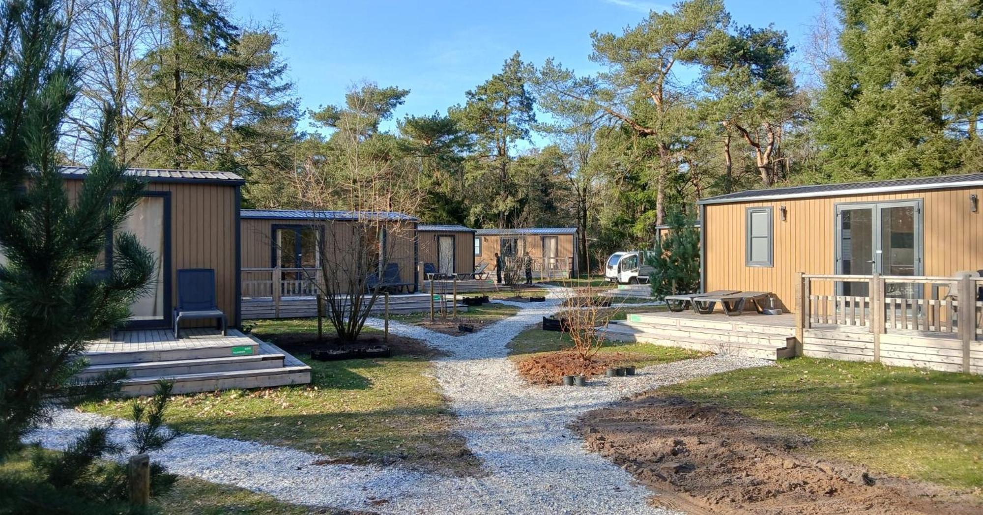 Rcn Vakantiepark De Roggeberg Appelscha Værelse billede